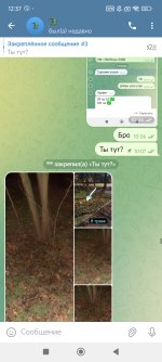 Screenshot_2025-01-08-12-37-18-176_org.telegram.messenger.jpg