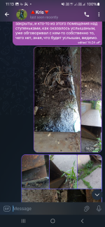 Screenshot_20250625_111345_Telegram.png