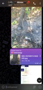 Screenshot_20250819_125524_Telegram.jpg