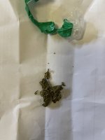 IMG_0550.jpeg