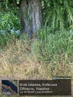 IMG_0598.jpeg