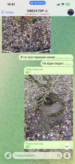 IMG_0908.png