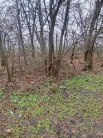 IMG_20251217_132054.jpg
