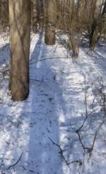 IMG_0011.jpeg